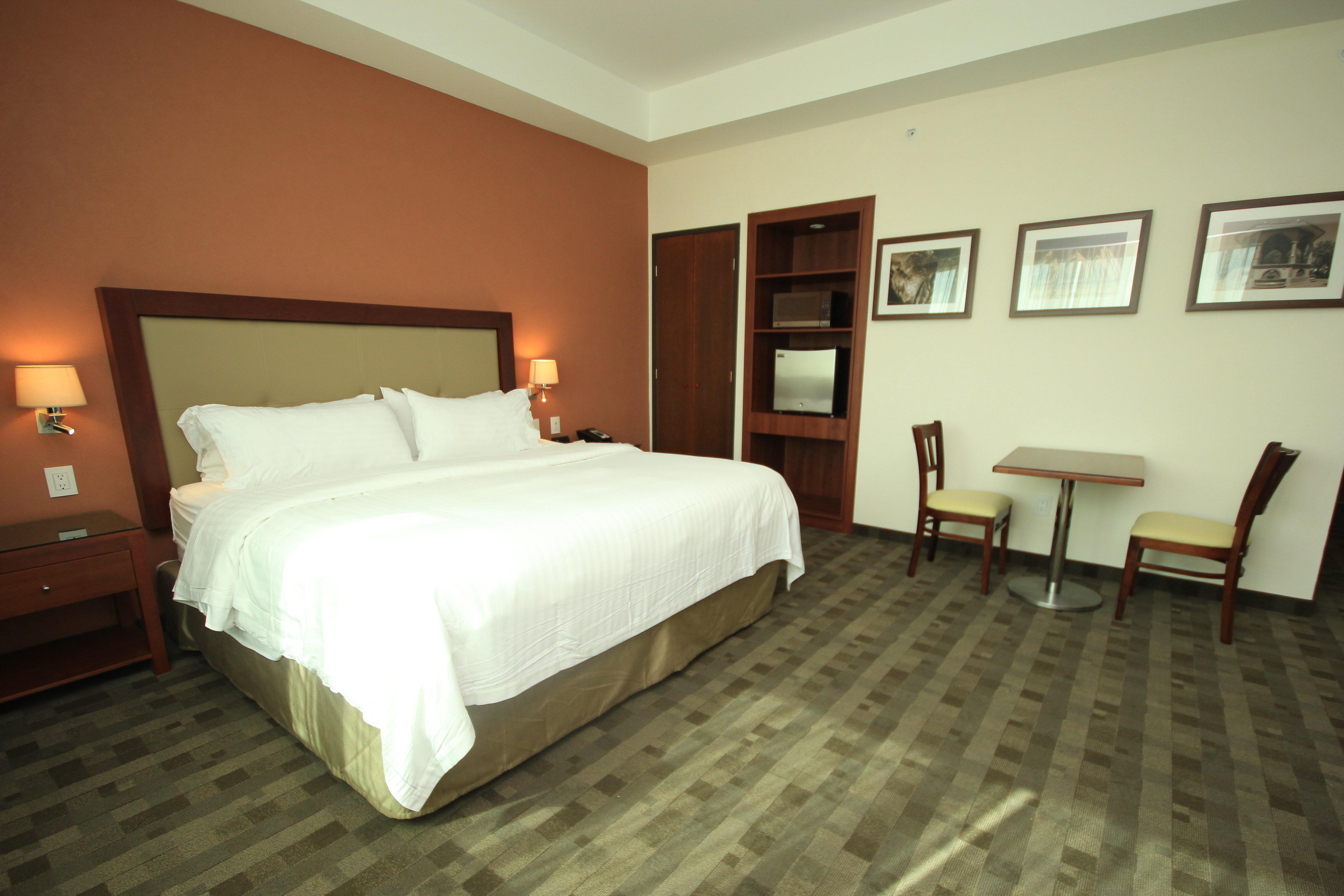 Holiday Inn & Suites Plaza Mayor By Ihg León de los Aldamas Extérieur photo